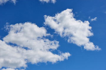 Fototapeta na wymiar Air clouds in the blue sky. Nature background