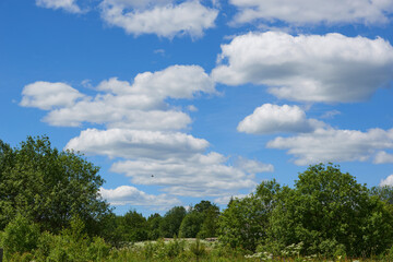 Fototapeta premium Air clouds in the blue sky. Nature background
