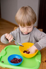 Baby early learning. Sort by color. Counting kidney-beans. Mathematics children counting for kids. Educational calculate game teaching to develop. Fine motor skills, coordination.