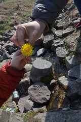 people holding a flower above a river