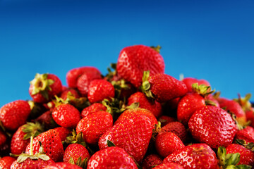 Fresh ripe red strawberries on a blue background. Close up