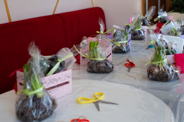 ingredients for creating flower arrangements