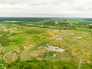 Biebrza Podlasie Biebrzański Park Narodowy Staw trzcina bagno pole łąka widok z drona