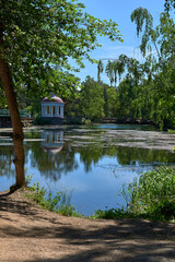 Obraz premium Stone quarry with water in the city Park. Forested area. Beautiful view of nature in summer. Pines. Stones.