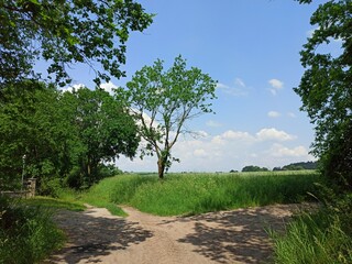 Na rozstaju dróg. © WalDec