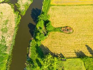 RNarew Podlasie Podlaskie Narwiański Park Narodowy  zeka trzcina pole łąka widok z drona