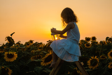 Girl sitting on ladder in sunflowers field