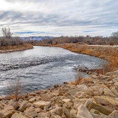 Square Glistening lake with dusting of snow on the rocky and grassy shore in winter