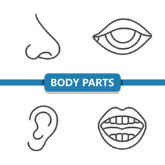 Body Parts Icons