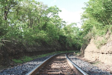 Fototapeta premium railway in the forest