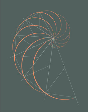 Absract geometry. Golden ratio in orange color on dark grey background