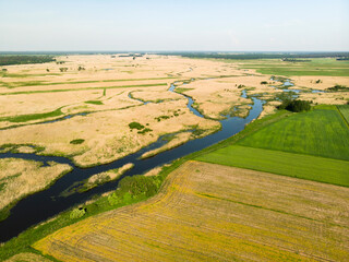 Narew Podlasie Podlaskie Narwiański Park Narodowy  Rzeka woda trzcina łąka pole widok z drona