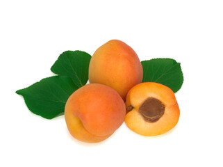 Fresh apricot fruits and leaves isolated on a white background