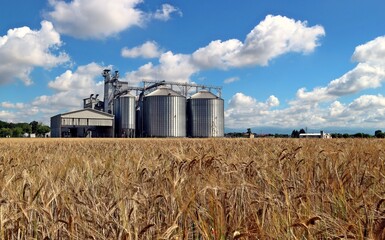 Grain storage silos system, behind a brown wheat field and under  a summer blue cloudy sky © luca piccini basile