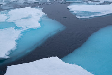 Cracks in the melting sea ice North of Spitsbergen. 