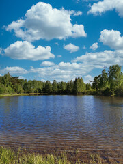 Siberian river Oka in the forest