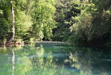 Fototapeta premium A pond in Surrey in the UK.