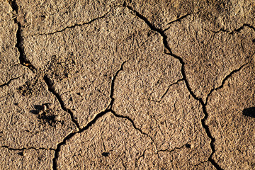 Background of dry soil. Brown dry soil or desert. Texture of cracked ground.