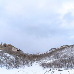 Square Homes atop gentle hill slopes with fresh snow and leafless bushes in winter