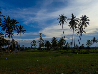 Fototapeta na wymiar scenery during sunset under blue sky with coconut tree in background