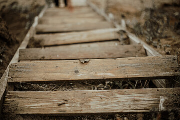 Fototapeta premium Steps of a wooden staircase, closeup
