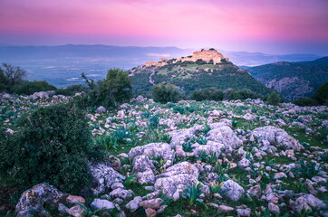 Beautiful pink sunrise sky over the Nimrod Fortress - ruins of a medieval Ayyubid castle located on the southern slopes of Mount Hermon, overlooking the Golan Heights, Northern Israel