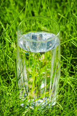 glass with clear pure cool water on green grass background. Hydration summer refreshment minerals health concept. Vertical photograph.