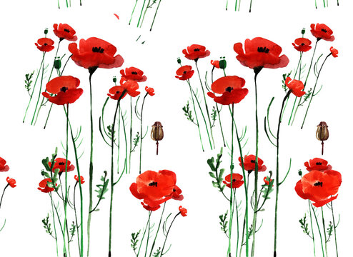 Watercolor flower pattern. Hand painted. Isolated on white background with small poppies