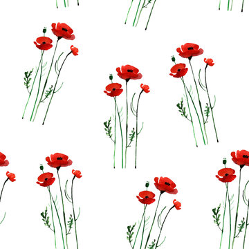 Watercolor flower pattern. Hand painted. Isolated on white background with small poppies