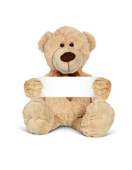 Toy bear hold empty paper card, with message, isolated on white.