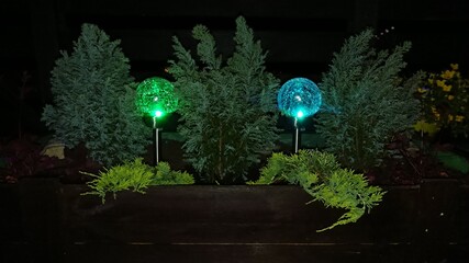 Ogród w nocy. © WalDec