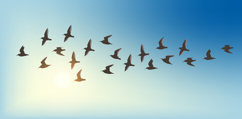 Vector silhouette a flock of small flying birds