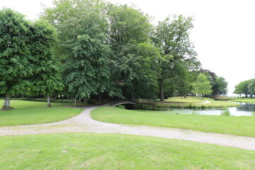 
Beautiful view over a summer park with a pond landscape surrounded by old trees such as chestnut and beech. Photo was taken on a sunny day.