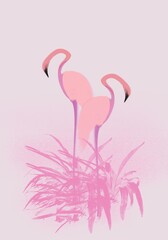 flamingo bird silhouette illustration