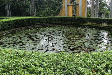 circle pool in the yard of a house full of lotus plants. exterior design inspiration with natural concepts