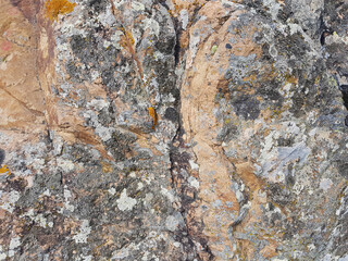 Roccia