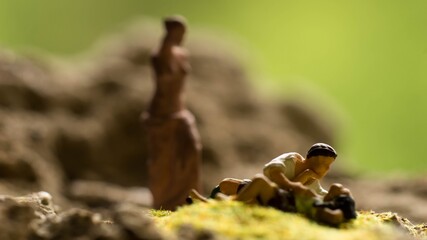 Wo die Liebe hinfällt