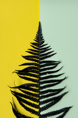 Black spray painted fern leaf on a blue and yellow pastel background