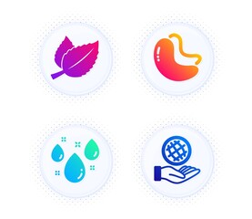 Mint leaves, Cashew nut and Rainy weather icons simple set. Button with halftone dots. Safe planet sign. Mentha herbal, Vegetarian food, Water drop. Ecology. Nature set. Vector