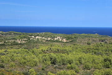 panorama landscape scenic view of isolated green vegetation with blue sea water and sky background on beautiful and colorful Mallorca island in Spain