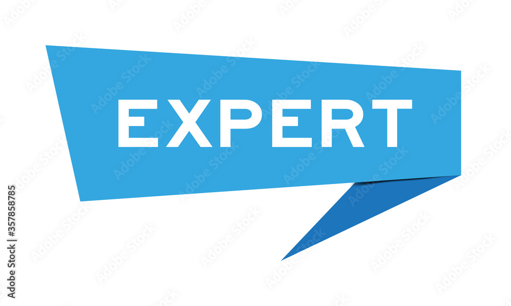 Wall mural Blue paper speech banner with word expert on white background