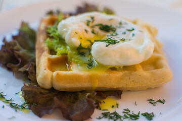 Healthy breakfast on a terrace with Viennese waffles and poached egg with green salad and orange juice.