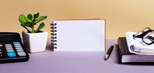 A calculator, pen, notebook, flower in a pot and diaries are on the desktop. Place to insert text. Business concept
