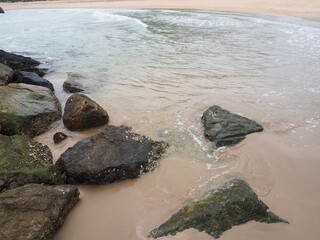 sea sand sky and summer day tropical paradise beach with white sand and coco palms travel tourism wide panorama background concept