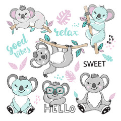 Cute koalas on a white background collection. Cute baby animals