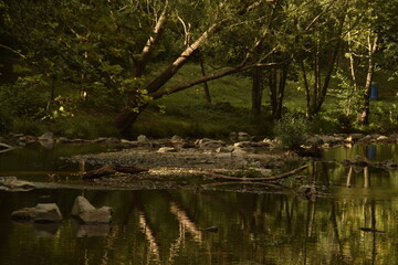 Sommer an der Liesing 2
