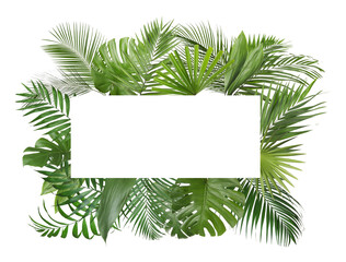 Fototapeta na wymiar Frame made of different lush tropical leaves on white background, top view. Space for text