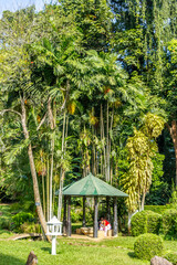 gazebo in the park