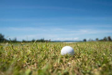 Golf ball in the grass 