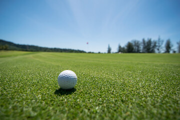 golf ball on golf curse